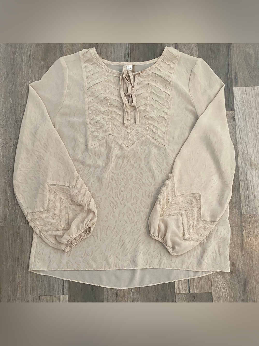 Vintage Y2K Boho Cottagecore Sheer Ruffle Long Sleeve Top Fairy Whimsical